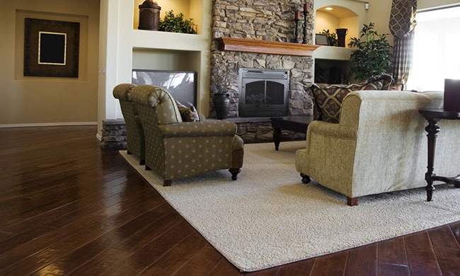 luxury living room interior