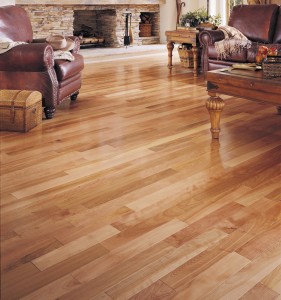 yellow-birch-hardwood-floor-species